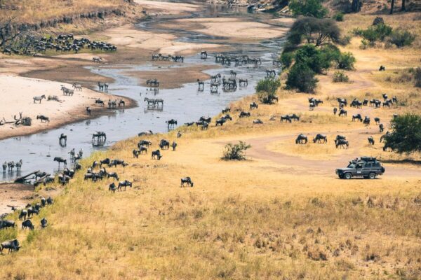 8-Day Tanzania Mid-Range Safari