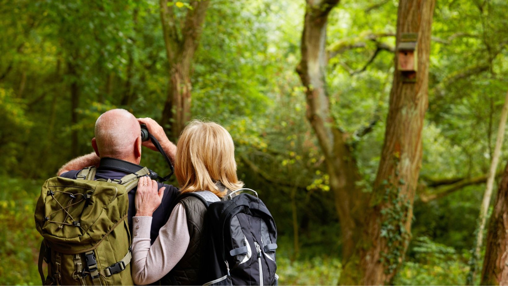 12 Days Uganda Safari Experience