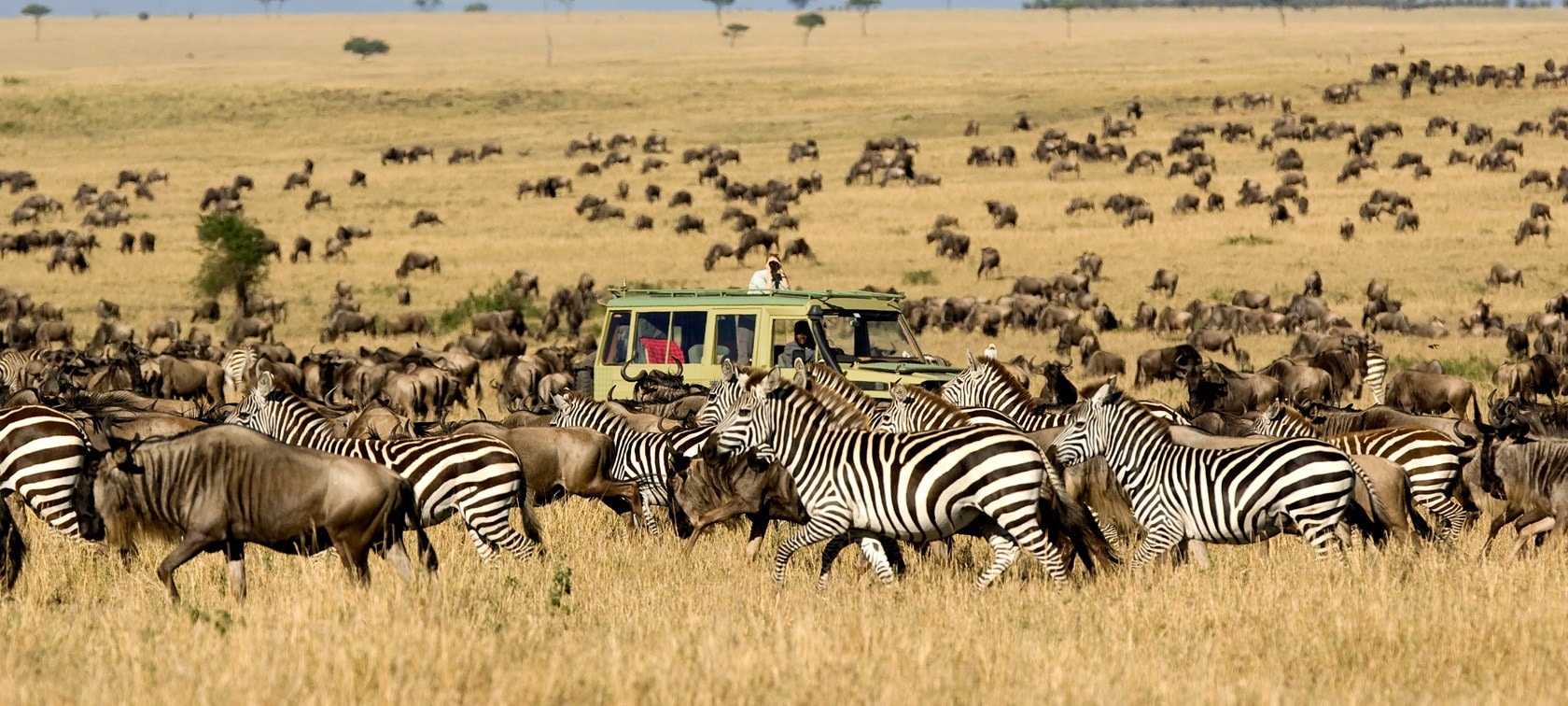 The Great Migration Safari Experiences