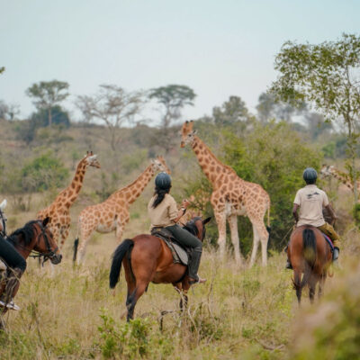 Lake Mburo National Park