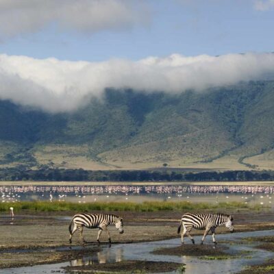 Ngorongoro- Conservation Ngorongoro Conservation Crater