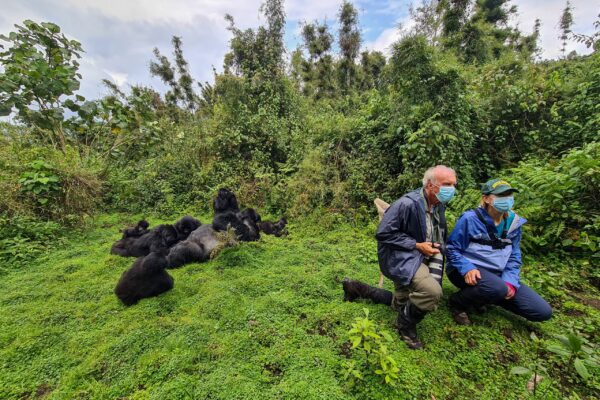 4 Days Uganda Gorilla Trekking and Rwanda Golden Monkey Tracking Safari