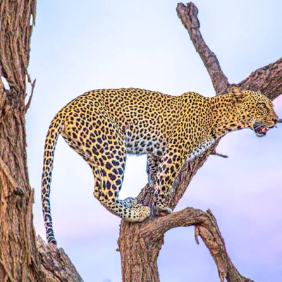 Samburu National Park