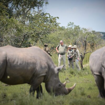 Ziwa Rhino Sanctuary
