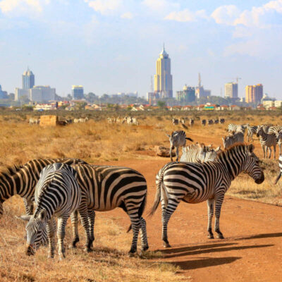Nairobi National Park