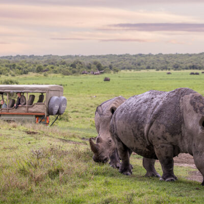 ol-pejeta