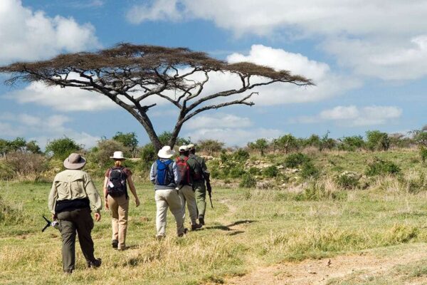 7-Day Tanzania Wildlife Safari