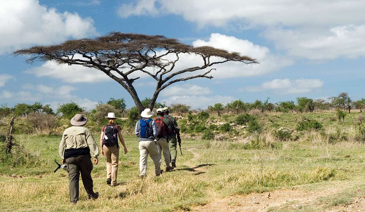 7-Day Tanzania Wildlife Safari